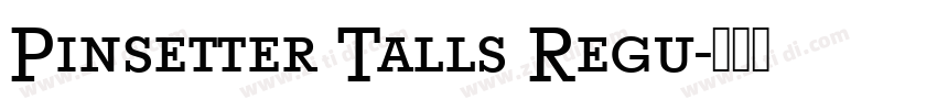 Pinsetter Talls Regu字体转换